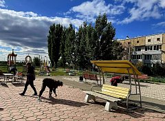 В муниципальном округе Михайловский начался месячник по благоустройству и санитарной очистке посёлка