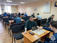Сотрудники СПСЧ №3 МО п. Михайловский - призеры турнира по шахматам