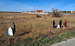 По поручению Губернатора Р.В. Бусаргина продолжаются субботники