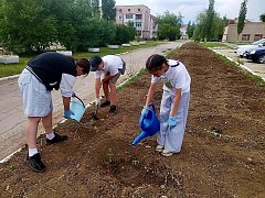 ️Благоустройство муниципального округа проходит в ежедневном режиме