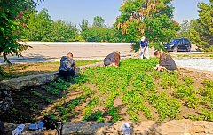 В поселке Михайловский продолжает свою работу школьная трудовая бригада