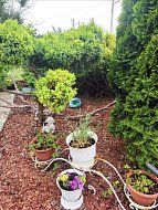 Михайловцев приглашают принять участие в конкурсе «Лучший двор, лучший дом, лучший подъезд, лучшее учреждение»