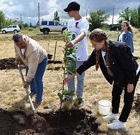 МО п. Михайловский приняло участие в высадке деревьев в рамках международной акции «Сад памяти»