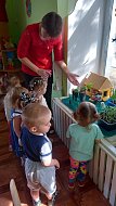 Исследовательская деятельности по выращиванию культурных растений в детском саду