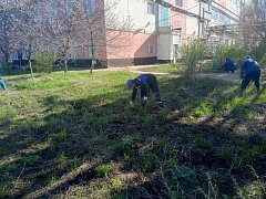 В минувшую субботу во всех районах области прошли субботники. 