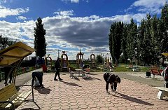 В муниципальном округе Михайловский начался месячник по благоустройству и санитарной очистке посёлка