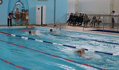 В «Дельфине» МО п. Михайловский прошли соревнования по эстафетному плаванию, посвященные Дню толерантности