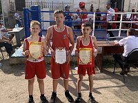 В поселке Сенной прошел захватывающий спортивный праздник, собравший юных боксеров со всего региона.