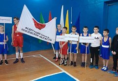 Юные михайловские боксеры стали призерами ежегодного турнира по боксу в г. Петровске