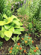 Михайловцев приглашают принять участие в конкурсе «Лучший двор, лучший дом, лучший подъезд, лучшее учреждение»