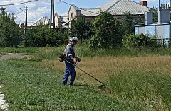 Удаление сорной растительности в посёлке Михайловский ведётся в ежедневном режиме