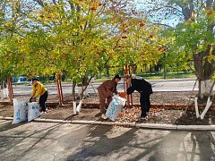 В п. Михайловский продолжаются субботники в рамках месячника по санитарной очистке территории