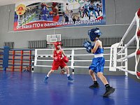 В поселке Михайловский состоялся масштабный турнир по боксу
