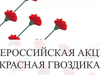 Всероссийская акция "Красная гвоздика"