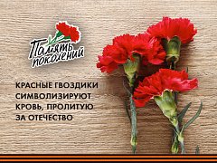 Саратовская область присоединится к акции  «Красная гвоздика»
