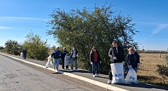 По поручению Губернатора Р.В. Бусаргина продолжаются субботники